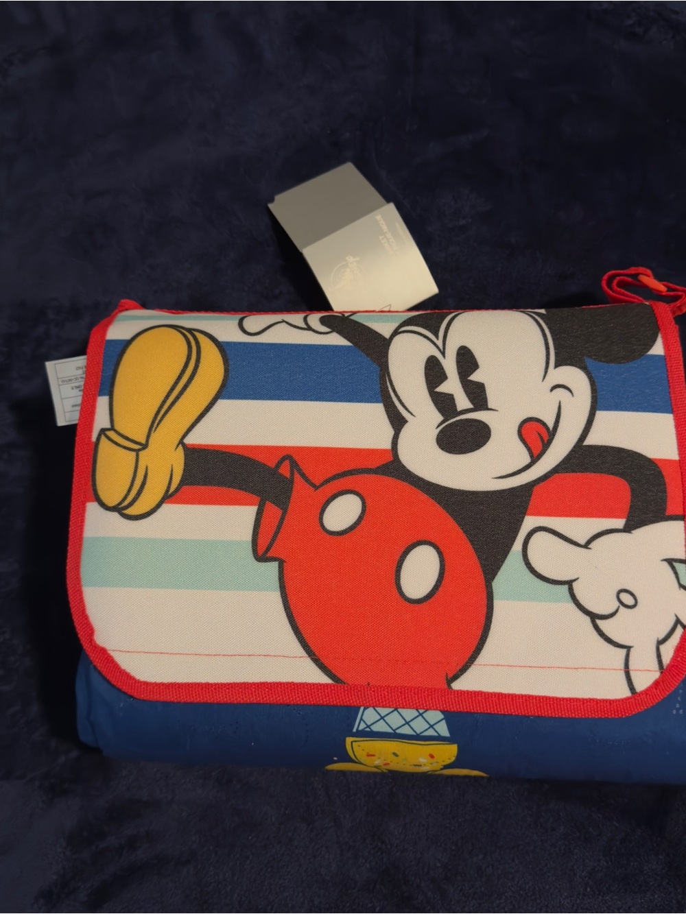 Mickey Mouse Foldable Picnic Blanket - Red, Blue, Yellow. Perfect for the Summer